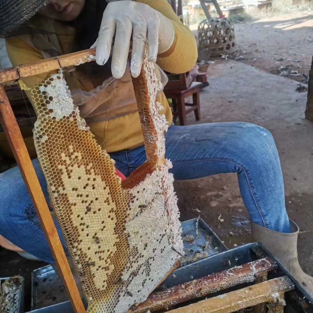 农家土蜂蜜，现割现发，大量到货，火热产品